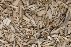 biomass boilers Fauld
